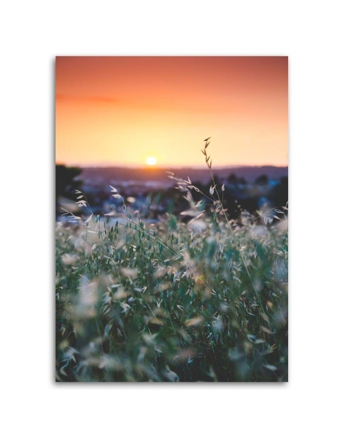 Meadow and sunset - Canvas print | FEEBY