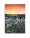 Meadow and sunset - Canvas print | FEEBY