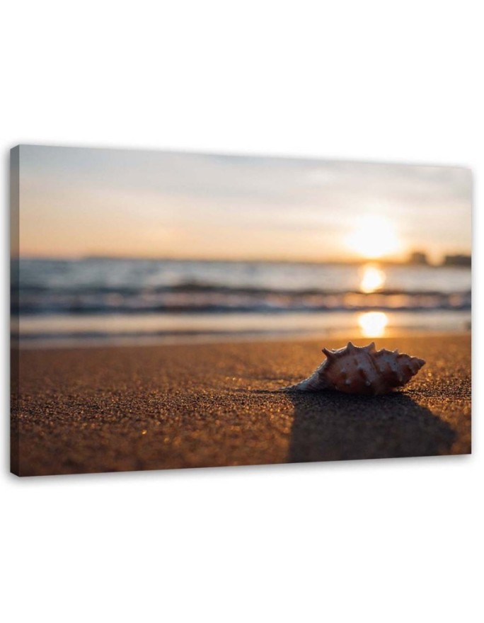 Canvas print Shell on the...