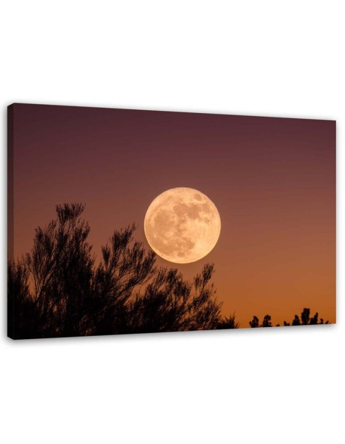 Canvas print Full moon