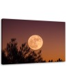 Canvas print - Full moon | FEEBY