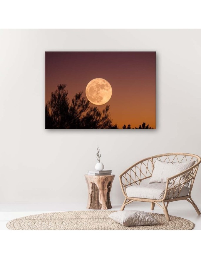 Canvas print - Full moon | FEEBY