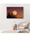 Canvas print - Full moon | FEEBY