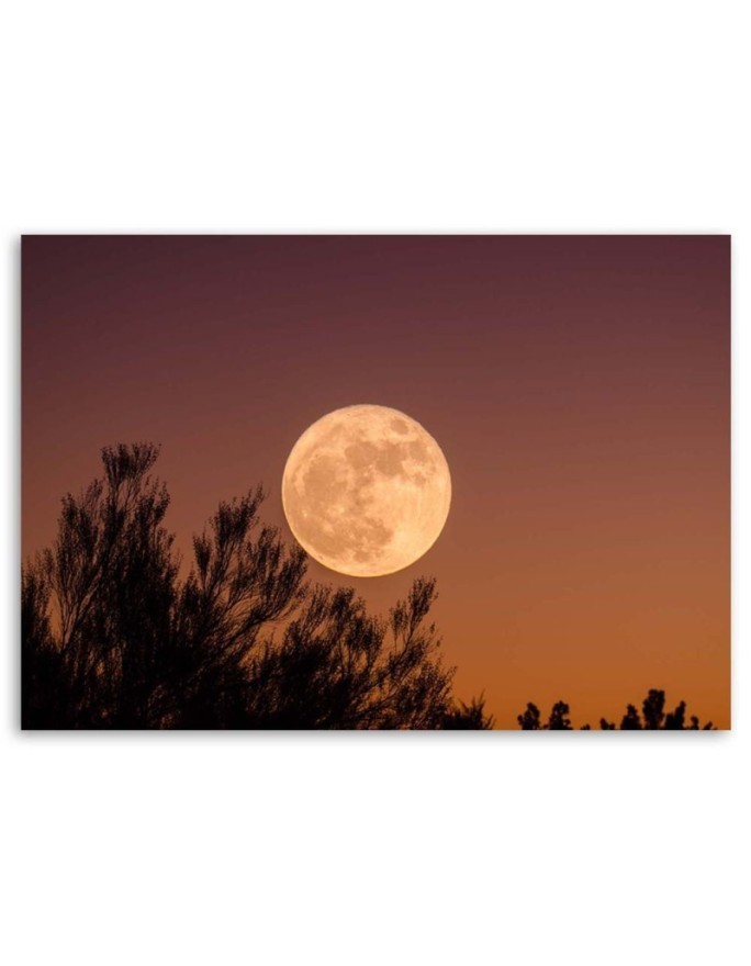 Canvas print - Full moon | FEEBY