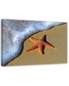 Canvas prints for living room - Orange starfish on the beach | FEEBY