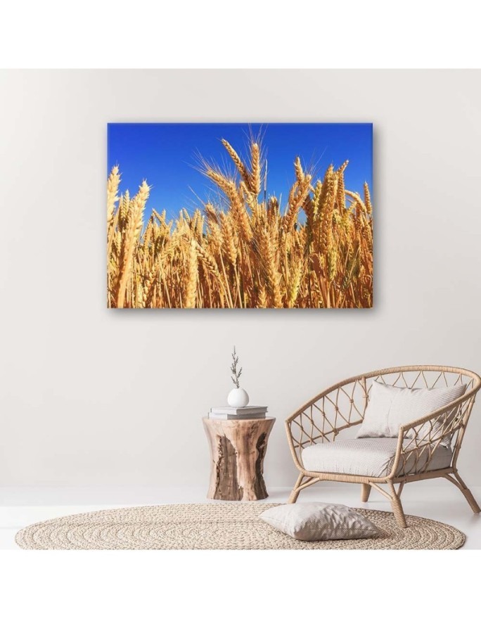 Canvas prints for living room - Sky and grain landscape | FEEBY