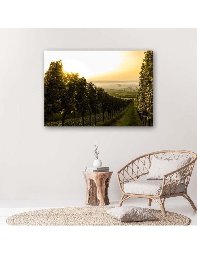 Canvas prints for living room - Green vineyard landscape | FEEBY