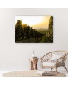 Canvas prints for living room - Green vineyard landscape | FEEBY