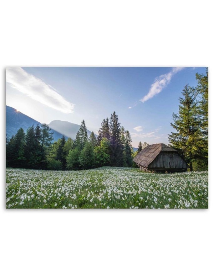 Canvas prints for bedroom modern - Wooden cottage among the trees | FEEBY