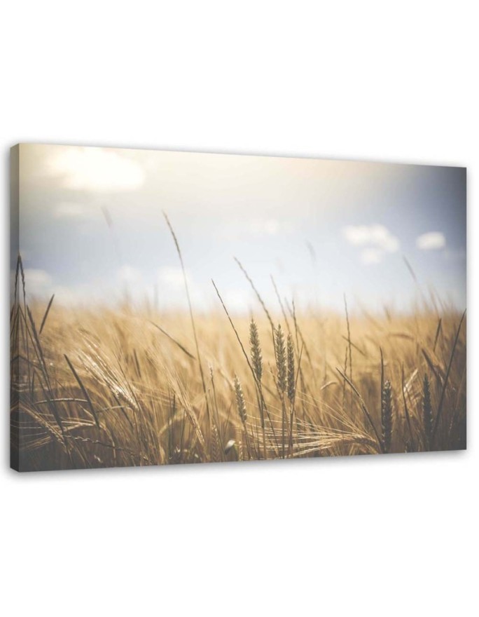 Canvas painting for living room - Cereals in a field | FEEBY