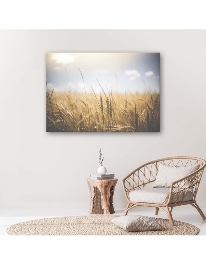 Canvas painting for living room - Cereals in a field | FEEBY