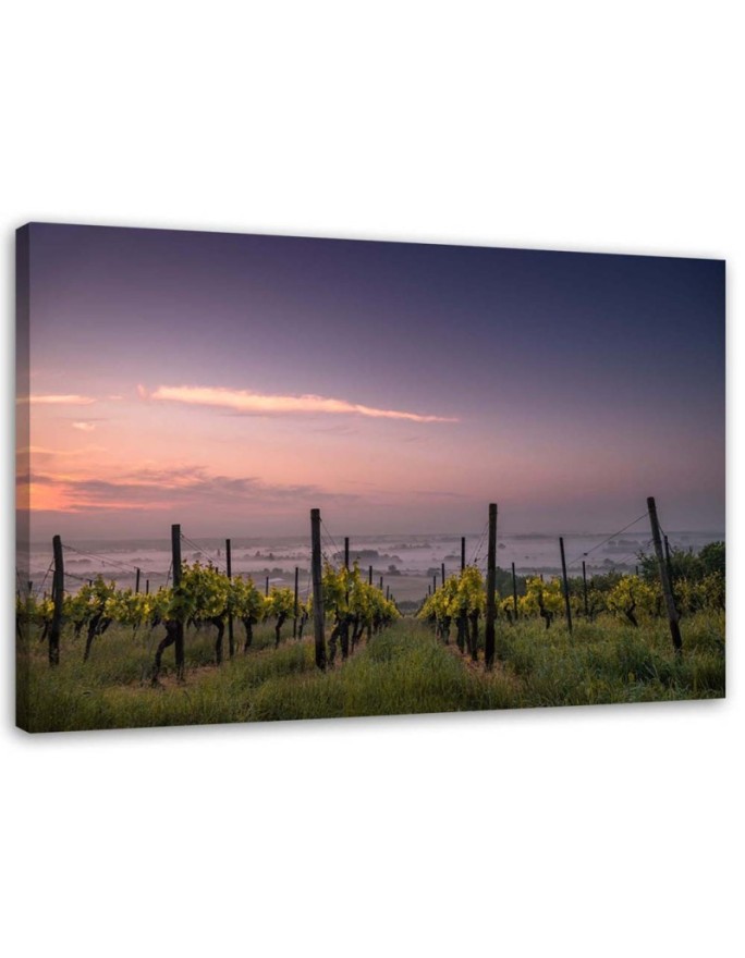 Canvas print Vineyard