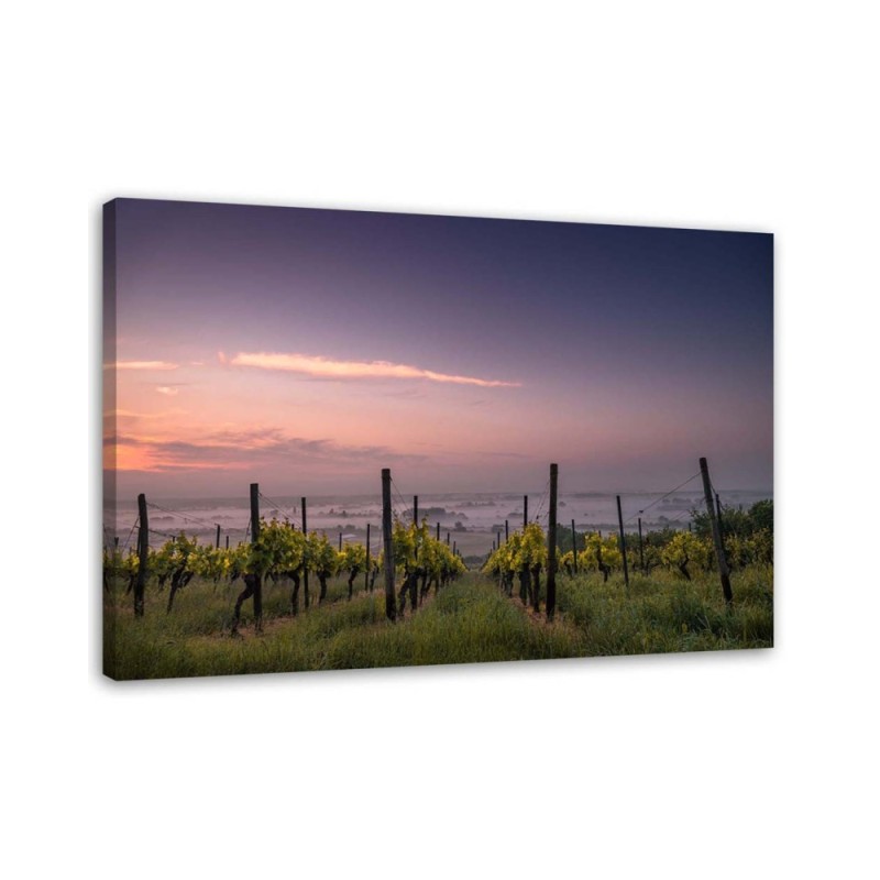 Modern canvas print - Vineyard grapes | FEEBY