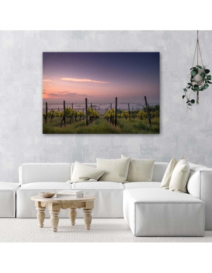 Modern canvas print - Vineyard grapes | FEEBY