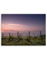 Modern canvas print - Vineyard grapes | FEEBY