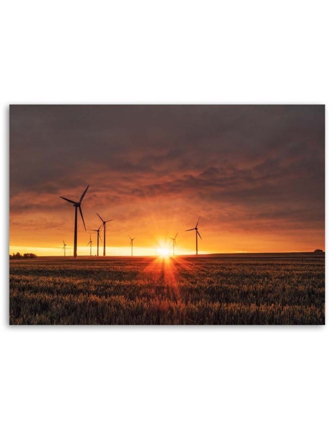 Canvas print - Sunset and windmills | FEEBY