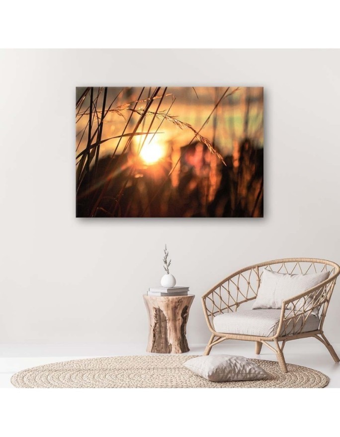 Canvas print - Cereal ears in the sun | FEEBY