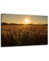 Modern Canvas painting for living room - Corn field and sunset | FEEBY