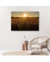 Modern Canvas painting for living room - Corn field and sunset | FEEBY