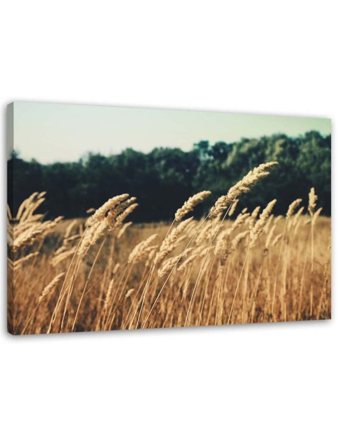 Canvas print Ripe grain...