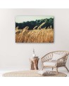 Canvas prints for living room - Ripe grain nature | FEEBY