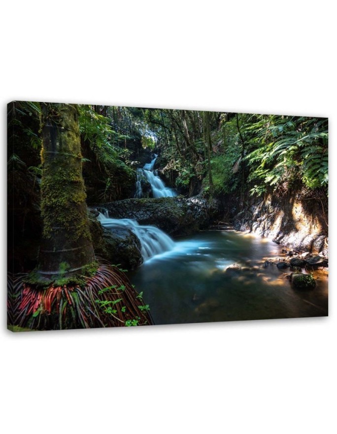 Waterfall in the tropics - Canvas prints for the living room | FEEBY