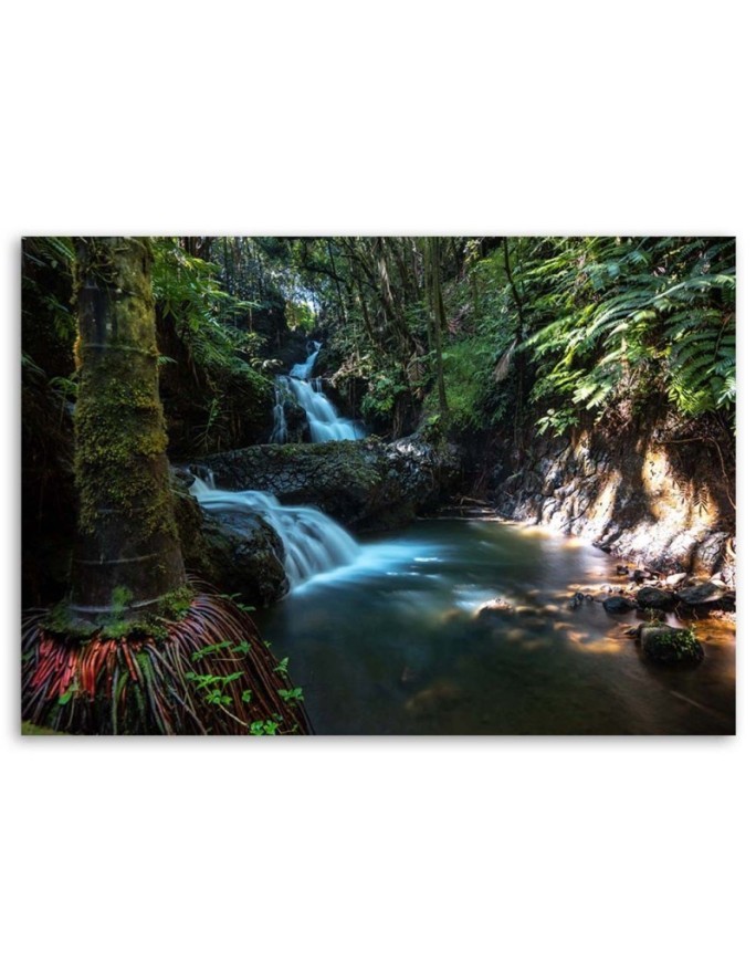 Waterfall in the tropics - Canvas prints for the living room | FEEBY