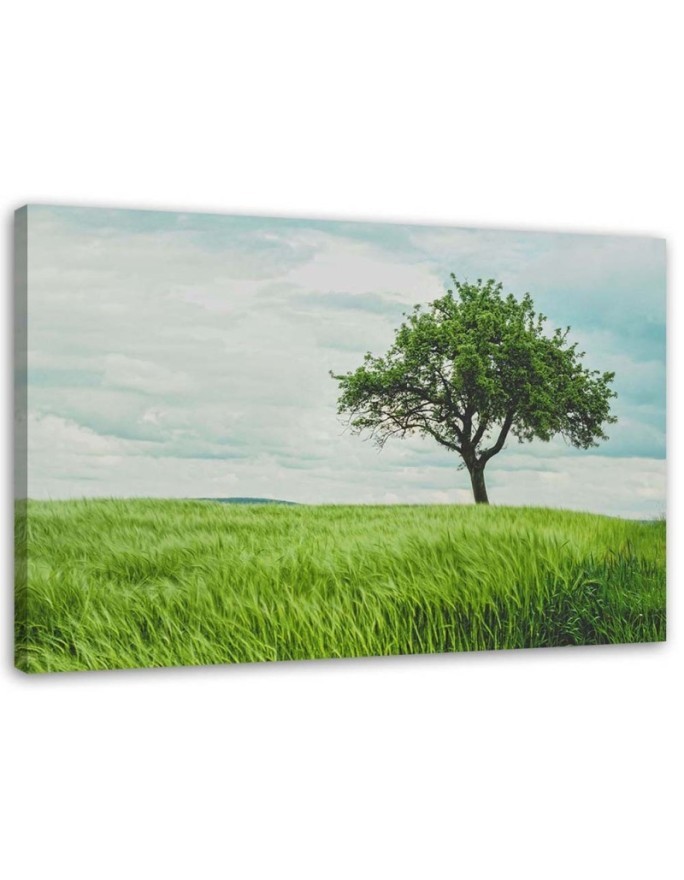 Green tree in a field - Modern Canvas painting for bedroom | FEEBY