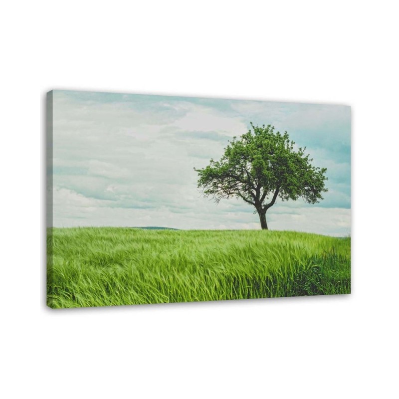 Green tree in a field - Modern Canvas painting for bedroom | FEEBY
