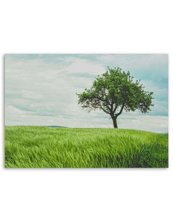 Green tree in a field - Modern Canvas painting for bedroom | FEEBY