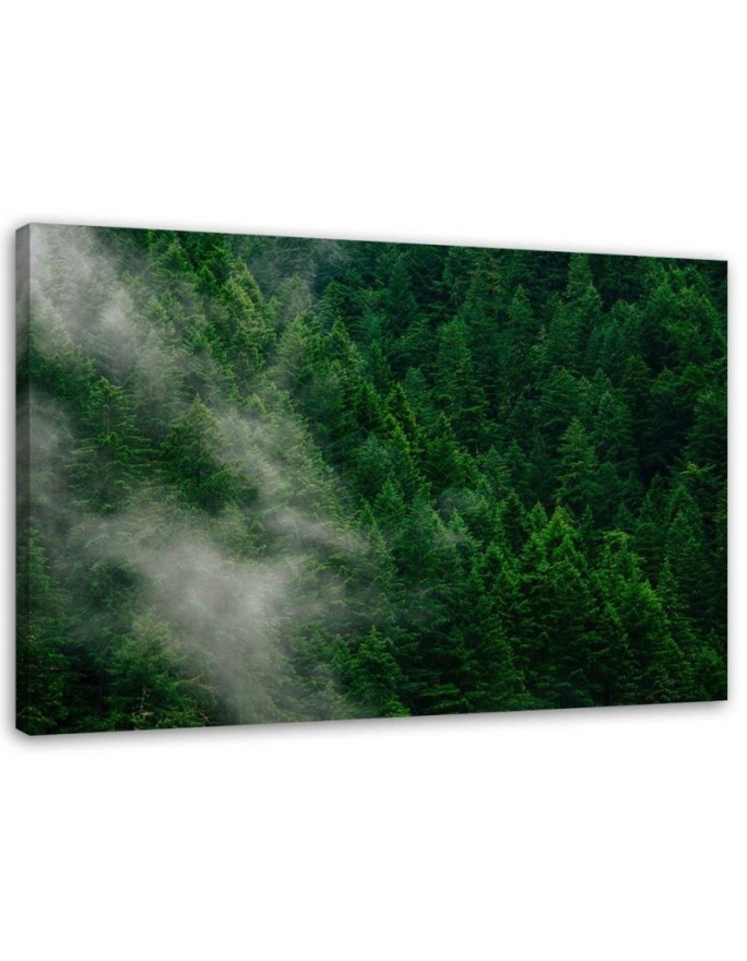 Fog over forest view - Modern bedroom Canvas painting | FEEBY