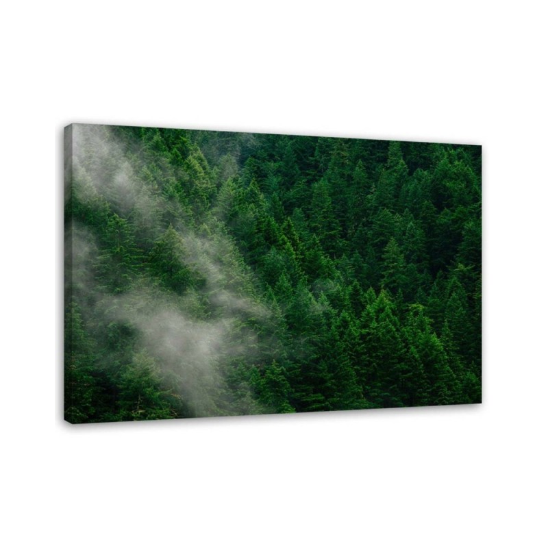 Fog over forest view - Modern bedroom Canvas painting | FEEBY