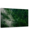 Fog over forest view - Modern bedroom Canvas painting | FEEBY