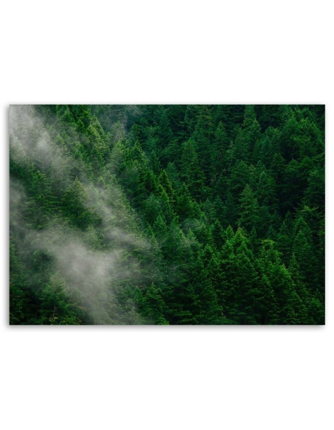 Fog over forest view - Modern bedroom Canvas painting | FEEBY