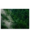 Fog over forest view - Modern bedroom Canvas painting | FEEBY