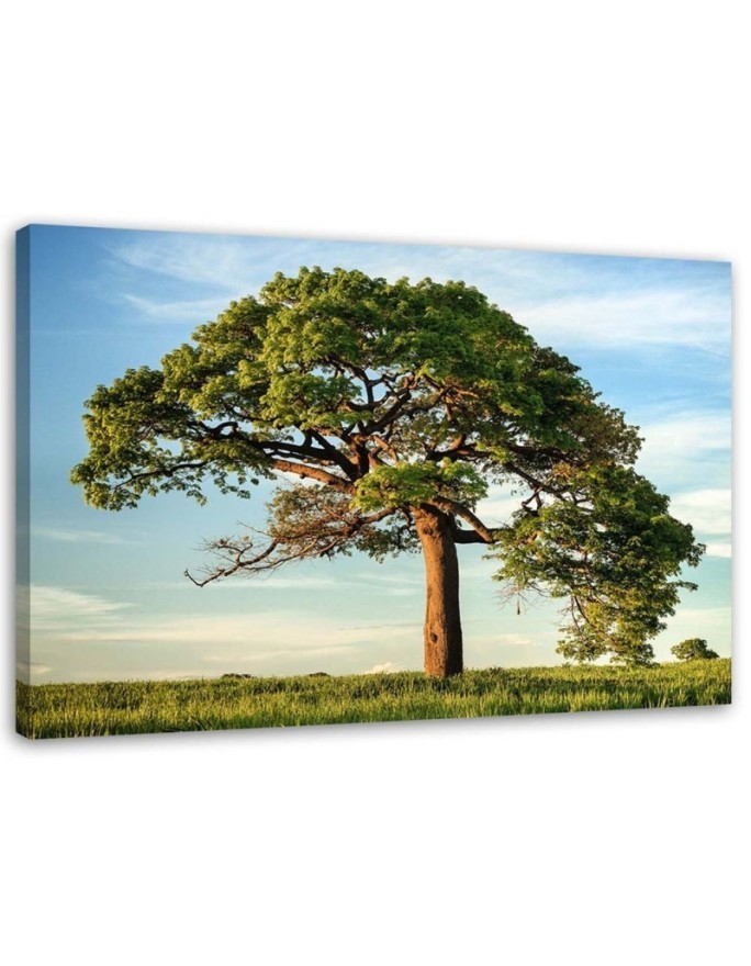Nature tree landscape - Canvas print modern | FEEBY