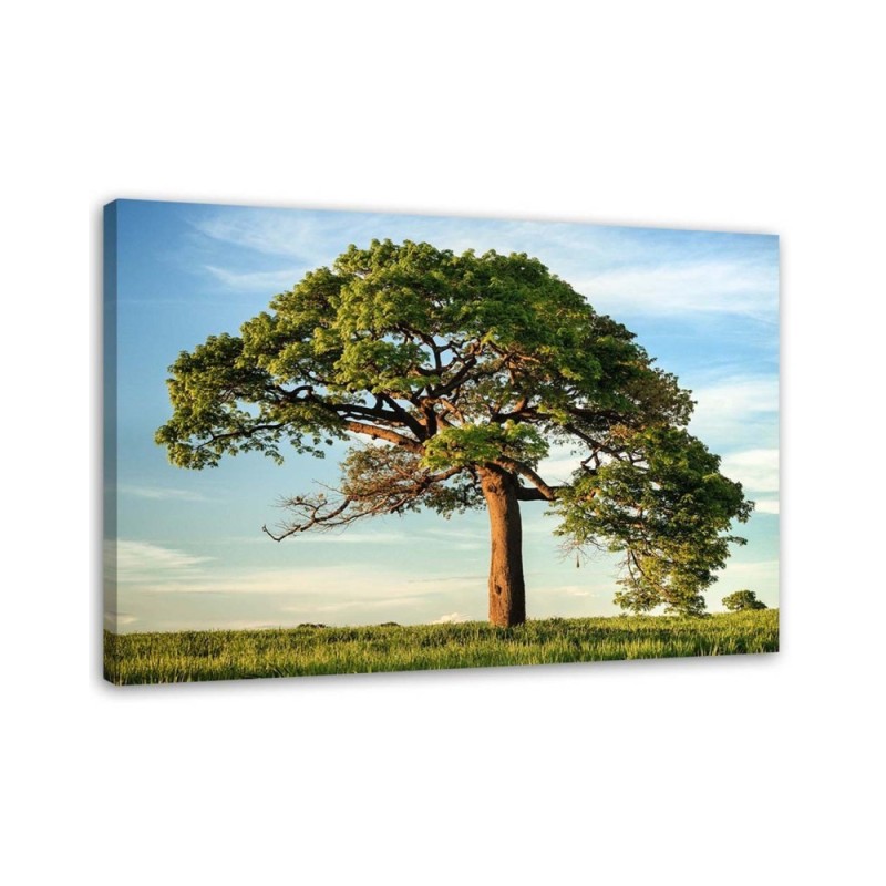 Nature tree landscape - Canvas print modern | FEEBY