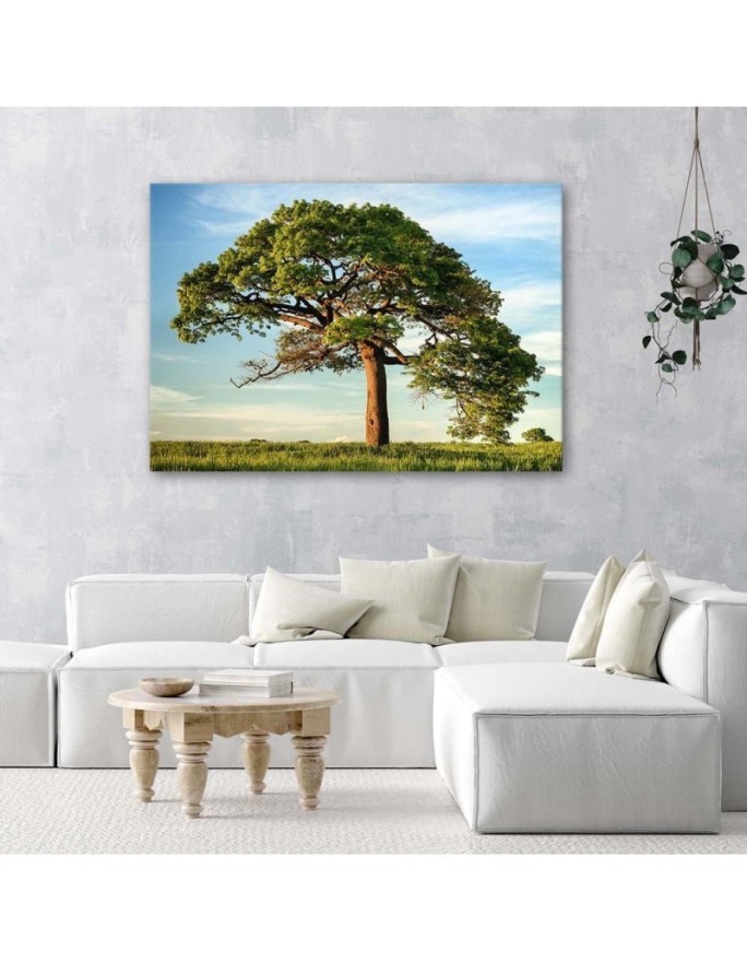 Nature tree landscape - Canvas print modern | FEEBY