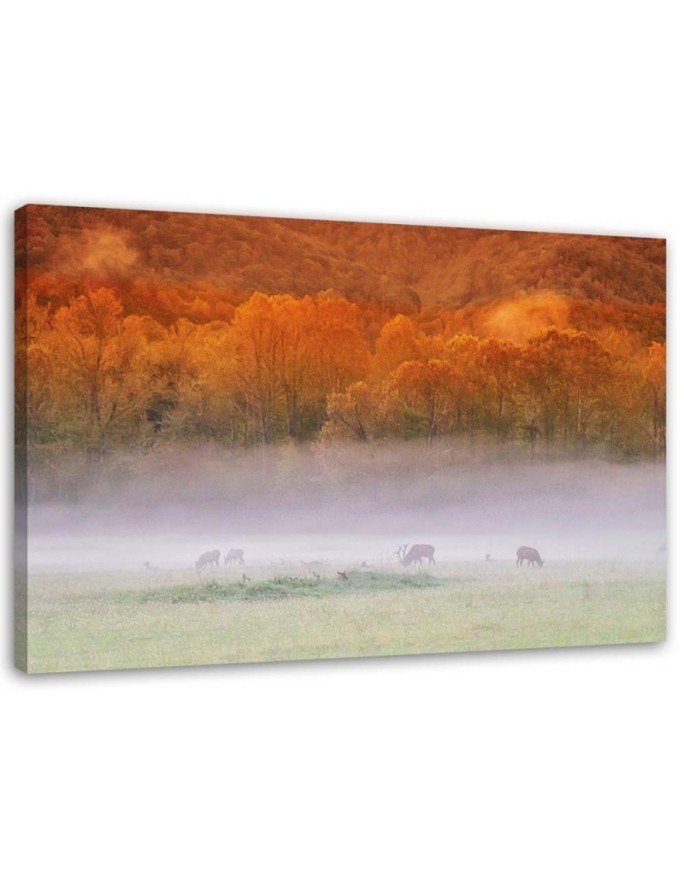 Fog over the roar - Canvas print | FEEBY