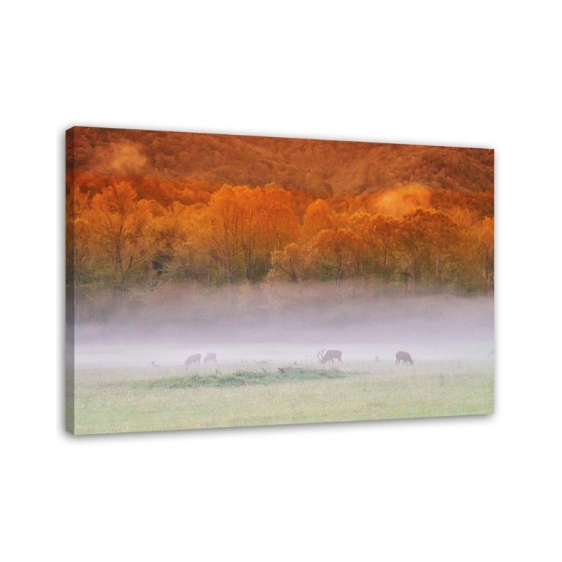 Fog over the roar - Canvas print | FEEBY