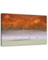 Fog over the roar - Canvas print | FEEBY