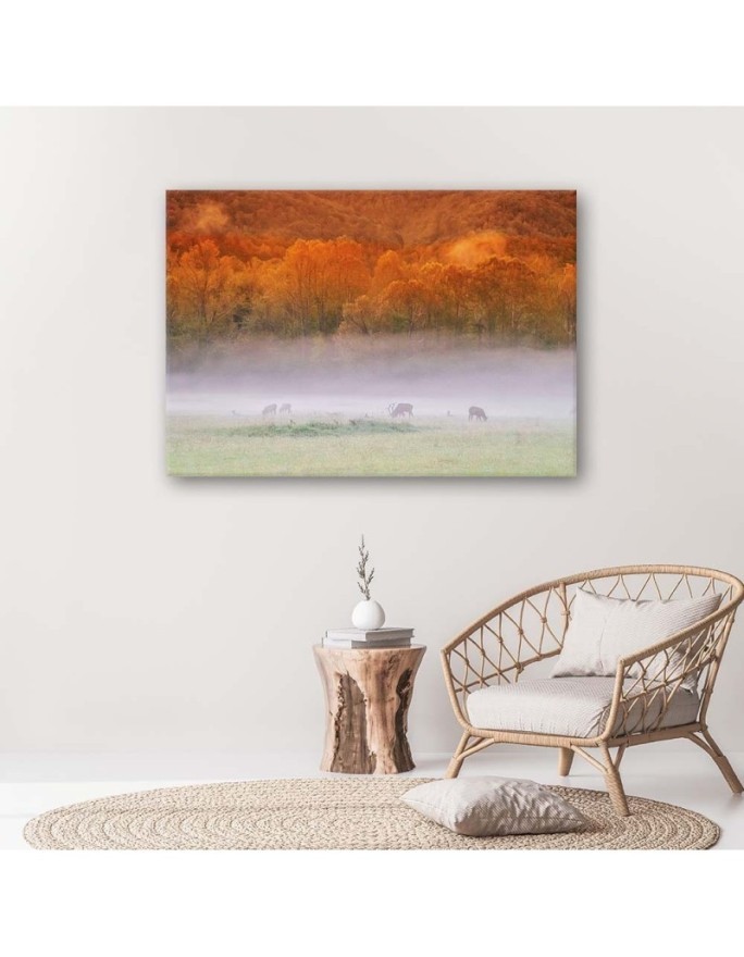 Fog over the roar - Canvas print | FEEBY