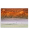 Fog over the roar - Canvas print | FEEBY