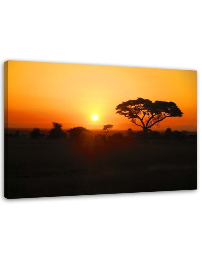 African sunset - Modern Canvas painting for living room | FEEBY
