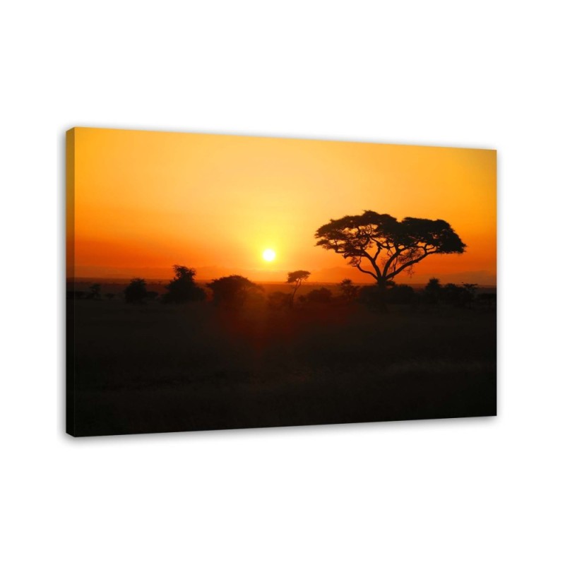 African sunset - Modern Canvas painting for living room | FEEBY