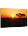African sunset - Modern Canvas painting for living room | FEEBY
