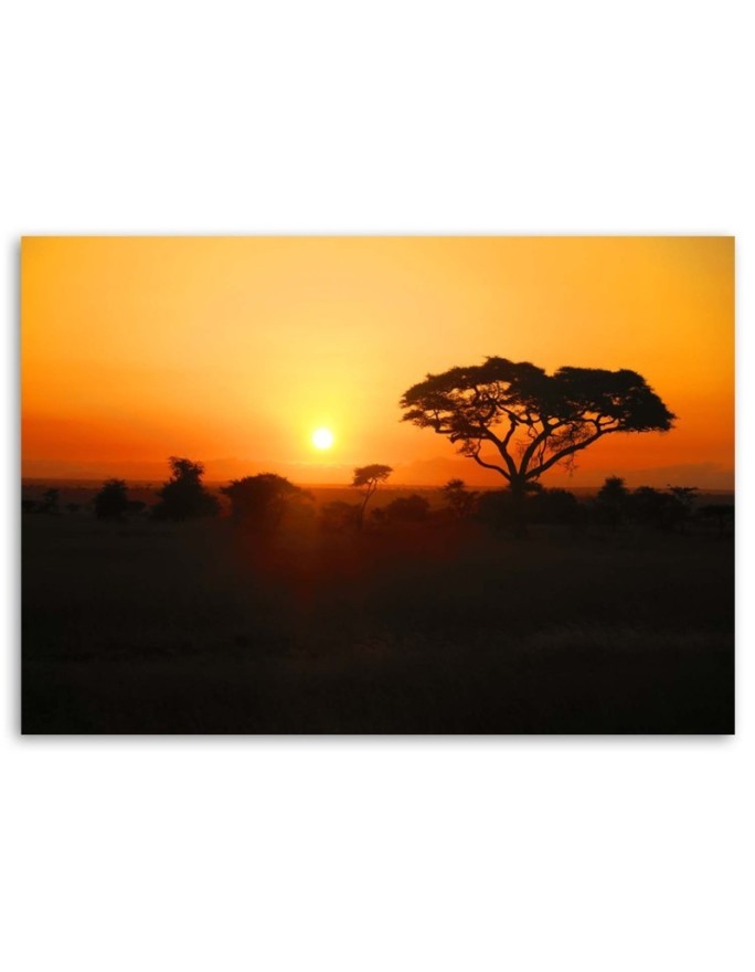 African sunset - Modern Canvas painting for living room | FEEBY
