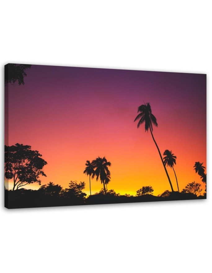 Pink sky and tropical palms - Canvas prints for the living room | FEEBY