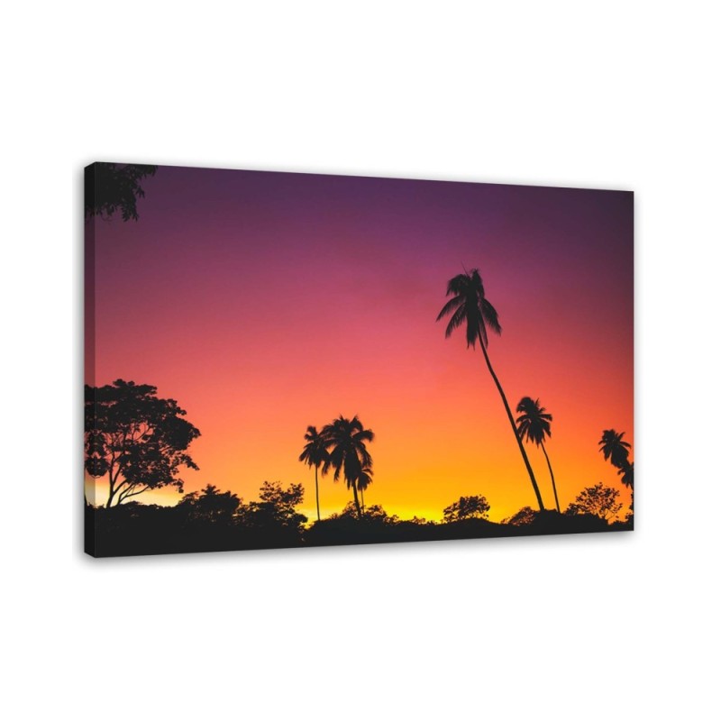 Pink sky and tropical palms - Canvas prints for the living room | FEEBY