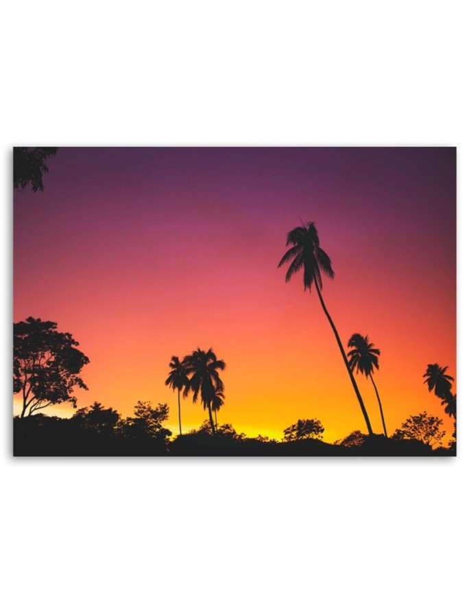 Pink sky and tropical palms - Canvas prints for the living room | FEEBY